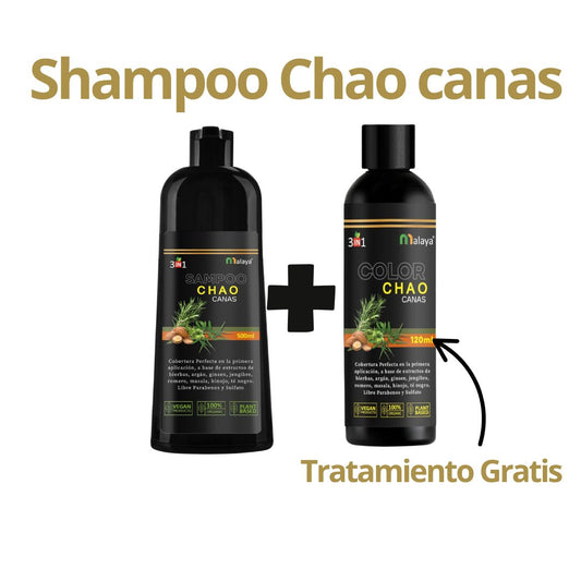 shampoo chao canas + tratamiento